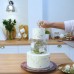 Фальшярус для торта, цилиндр, d=25 см, h=12 см, прозрачный