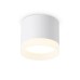 Накладной светильник Ambrella Light Acrylic Frost TN5365