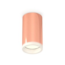 Потолочный светильник Ambrella Light Techno Spot XS6326020 (C6326, N6245)