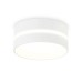 Накладной светильник Ambrella Light IP Protect TN5391