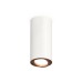 Накладной поворотный светильник Ambrella Light Techno XS7442005 (C7442, N7005)