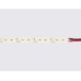 Светодиодная лента Ambrella Light LED Strip 24В 2835 14,4Вт/м 6500K 5м IP20 GS3203