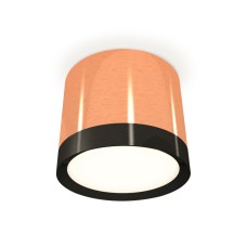 Потолочный светильник Ambrella Light Techno Spot XS8122001 (C8122, N8113)