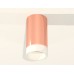 Потолочный светильник Ambrella Light Techno Spot XS6326021 (C6326, N6248)