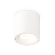 Потолочный светильник Ambrella Light Techno Spot XS7531020 (C7531, N7010)