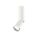 Спот Ambrella Light Techno Spot XM6312100 (C6322, A2060, A2220, C6312, N6132)