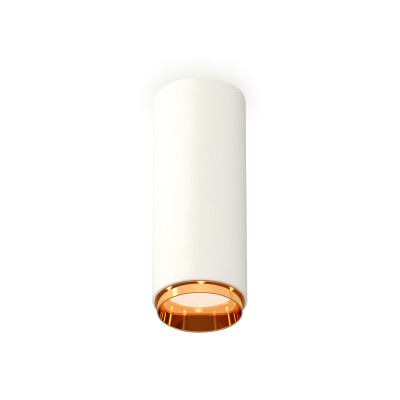 Потолочный светильник Ambrella Light Techno Spot XS6342005 (C6342, N6124)