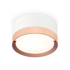 Потолочный светильник Ambrella Light Techno Spot XS8101006 (C8101, N8126)