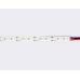 Светодиодная лента Ambrella Light LED Strip 12В 2835 14,4Вт/м 3000K 5м IP20 GS1301