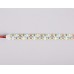 Светодиодная лента двухрядная Ambrella Light LED Strip 12В 2835 24Вт/м 4500K 5м IP20 GS1702