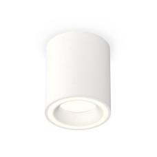 Потолочный светильник Ambrella Light Techno Spot XS7421020 (C7421, N7110)