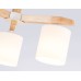 Люстра на штанге Ambrella Light Loft TR83112