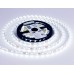 Светодиодная лента Ambrella Light Illumination 24В 5050 14,4Вт/м 6500K 5м IP20 GS4003