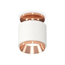 Потолочный светильник Ambrella Light Techno Spot XS7510140 (N7930, C7510, N7035)