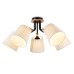 Потолочная люстра Ambrella Light Modern TR4733