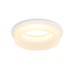 Встраиваемый светильник Ambrella Light Acrylic Frost TN1302