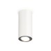 Накладной поворотный светильник Ambrella Light Techno XS7442003 (C7442, N7003)