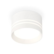 Потолочный светильник Ambrella Light Techno Spot XS8101021 (C8101, N8477)