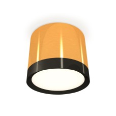 Потолочный светильник Ambrella Light Techno Spot XS8121001 (C8121, N8113)