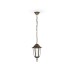 Уличный подвесной светильник Ambrella Light Garden ST2031
