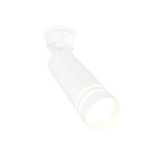 Спот Ambrella Light Techno Spot XM6342013 (A2202, C6342, N6235)