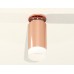 Потолочный светильник Ambrella Light Techno Spot XS6326082 (N6906, C6326, N6248)