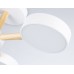 Люстра на штанге Ambrella Light Comfort LineTech FL4821