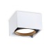 Накладной светильник Ambrella Light GX Standard tech TN70865