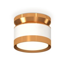 Потолочный светильник Ambrella Light Techno Spot XS8101060 (N8909, C8101, N8124)