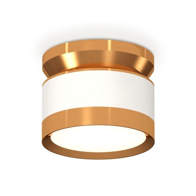Потолочный светильник Ambrella Light Techno Spot XS8101060 (N8909, C8101, N8124)