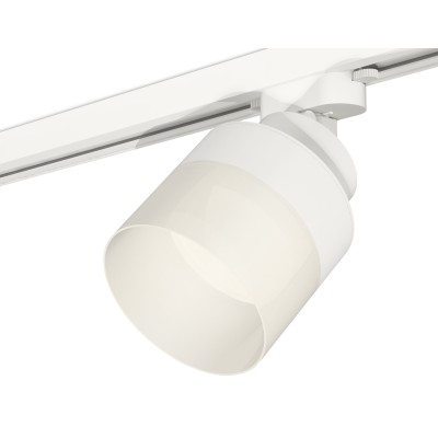 Трековый светильник Ambrella Light Track System XT8101021 (A2524, A2105, C8101, N8402)