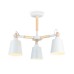 Люстра на штанге Ambrella Light Loft TR82204