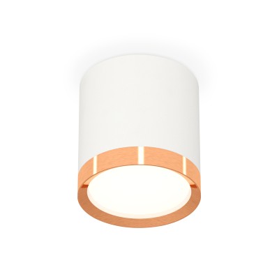 Потолочный светильник Ambrella Light Techno Spot XS8141005 (C8141, N8126)