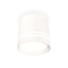 Потолочный светильник Ambrella Light Techno Spot XS8110007 (C8110, N8477)