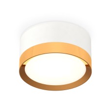Потолочный светильник Ambrella Light Techno Spot XS8101005 (C8101, N8124)