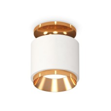 Потолочный светильник Ambrella Light Techno Spot XS7510120 (N7929, C7510, N7034)