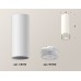 Потолочный светильник Ambrella Light Techno Spot XS6342020 (C6342, N6150)