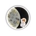 Настенный светильник Ambrella Light Wallers FW11101
