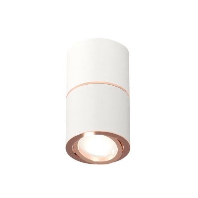 Потолочный светильник Ambrella Light Techno Spot XS7401220 (C7401, A2073, C7401, N7005)