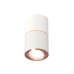 Потолочный светильник Ambrella Light Techno Spot XS7401220 (C7401, A2073, C7401, N7005)