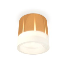 Потолочный светильник Ambrella Light Techno Spot XS8121010 (C8121, N8401)