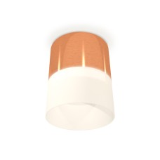 Потолочный светильник Ambrella Light Techno Spot XS8122011 (C8122, N8402)