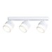 Спот Ambrella Light Techno family TN71166