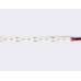 Светодиодная лента Ambrella Light Led Strip 12V Illumination 2835 14,4Вт/м 6500K 5м IP20 GS1313