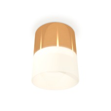 Потолочный светильник Ambrella Light Techno Spot XS8121011 (C8121, N8402)