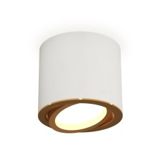 Накладной поворотный светильник Ambrella Light Techno XS7401004 (C7401, N7004)