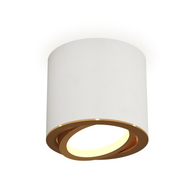 Накладной поворотный светильник Ambrella Light Techno XS7401004 (C7401, N7004)