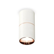 Накладной светильник Ambrella Light Techno XS6301083 (C6301, A2063, N6114)