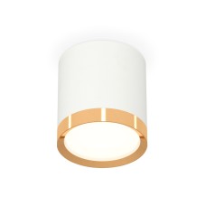 Потолочный светильник Ambrella Light Techno Spot XS8141004 (C8141, N8124)