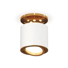 Накладной поворотный светильник Ambrella Light Techno XS7401120 (N7929, C7401, N7004)